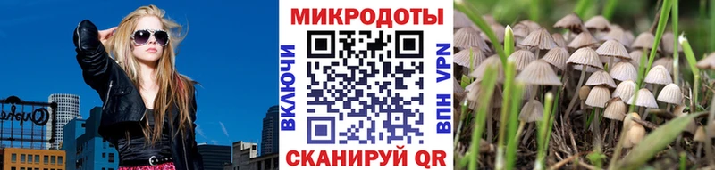 Галлюциногенные грибы мухоморы  Хасавюрт 